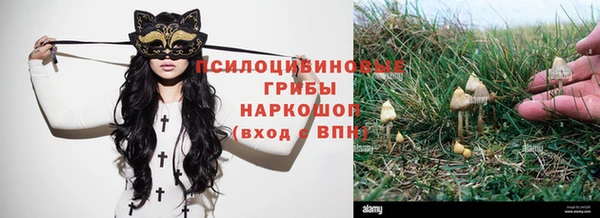 крисы Белоозёрский